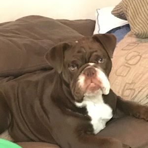 Meet your Posher, James